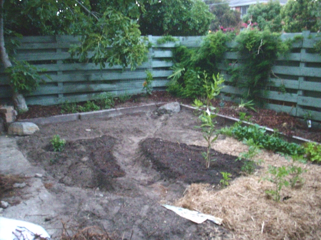 Kemp Street Garden