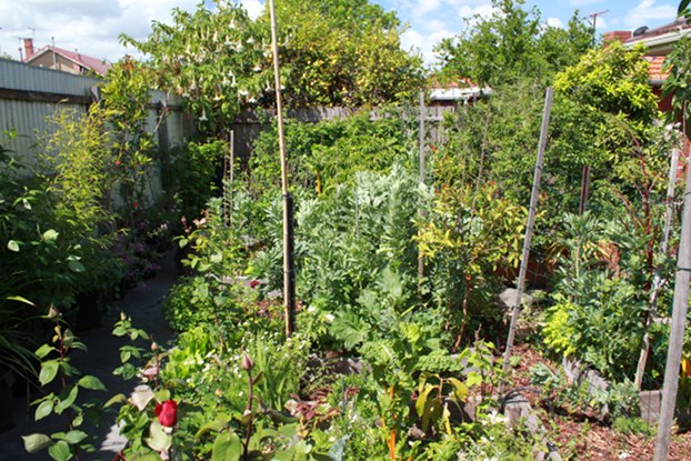 view of garden showing structural diversity
