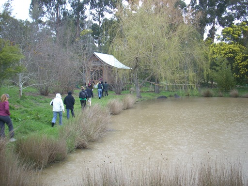 dam showing fine suspended solids in water