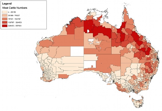 map of density of beef cattle for australia - most dense is northern australia