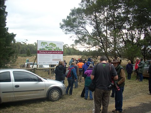 revegeation of Imery mine site at Lal Lal