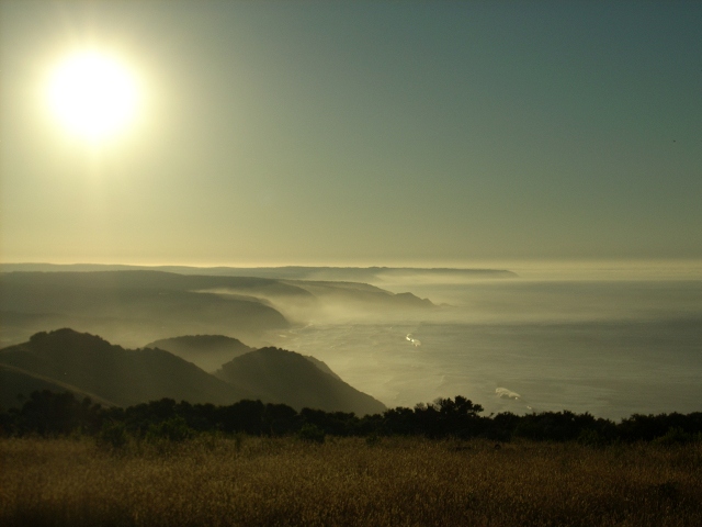 Misty morning western Otways and coast