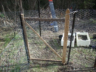 the gate