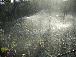 the system in place, watering the nursery